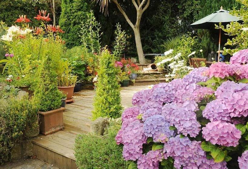 Stirabout Lane B&b
