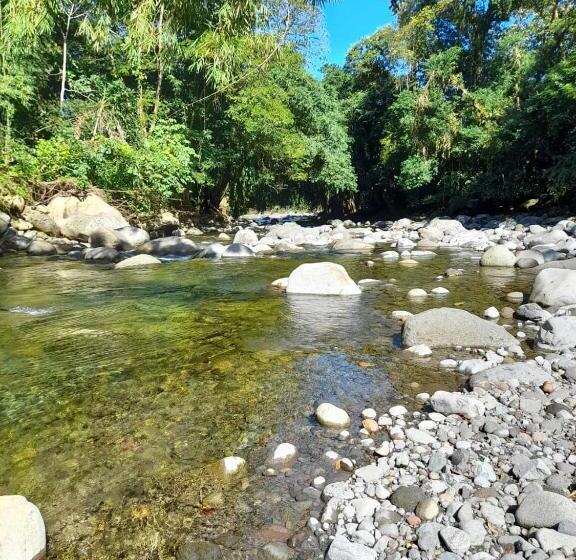ベッドアンドブレックファースト Centro Ananda