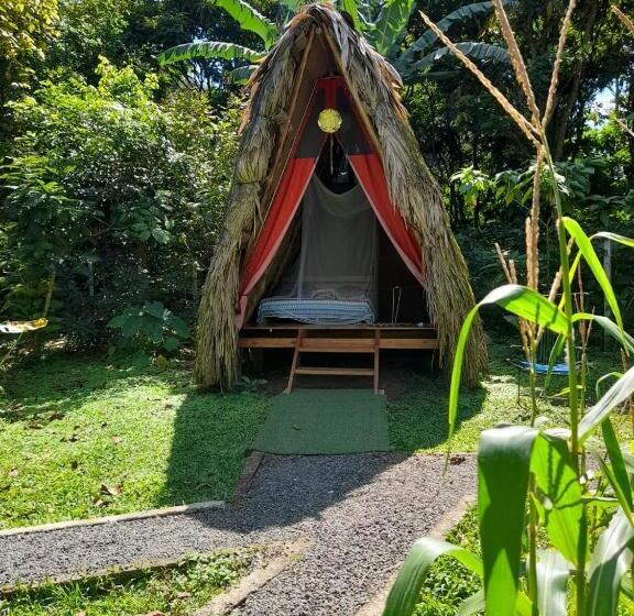 ベッドアンドブレックファースト Centro Ananda