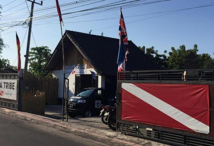 민박 Scuba Tribe Bali Dive Resort