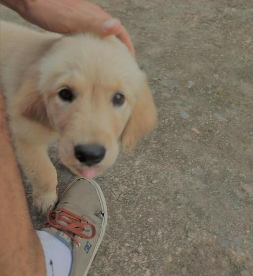 پانسیون Perezoso Hostel