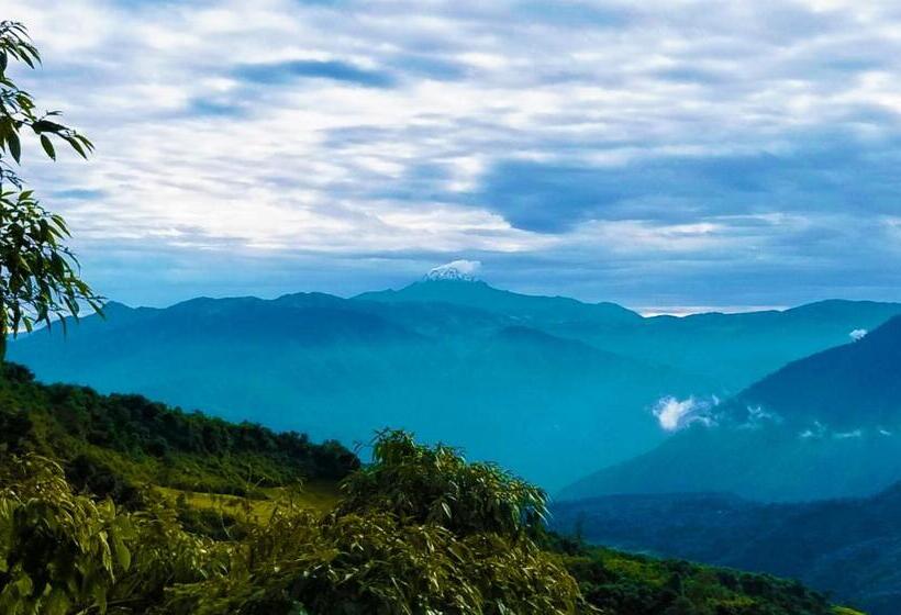 تختخواب و صبحانه Finca Petrona