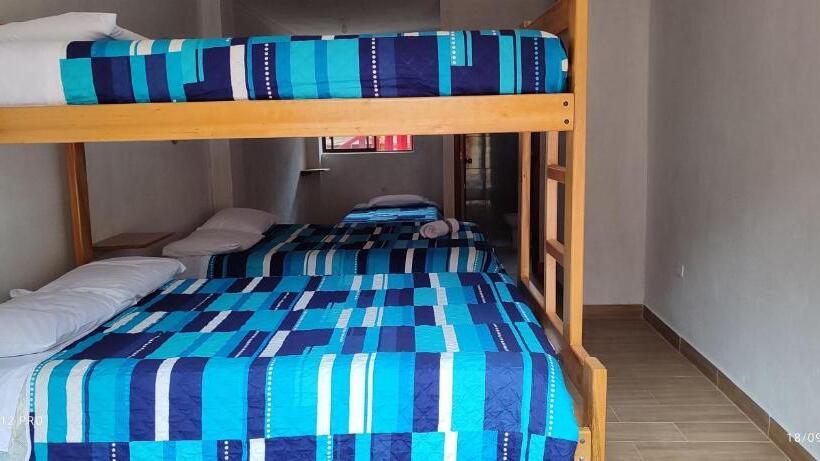 هاستل Mindoxtrem Birds