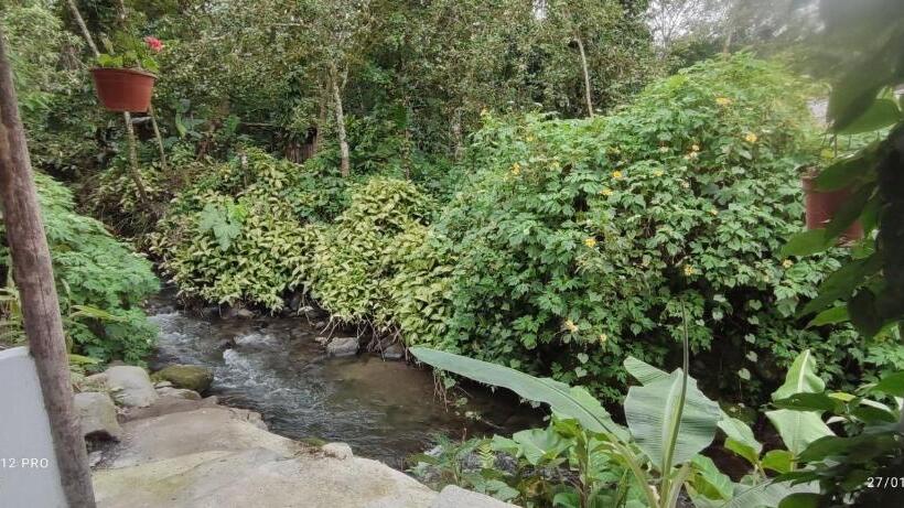 هاستل Mindoxtrem Birds