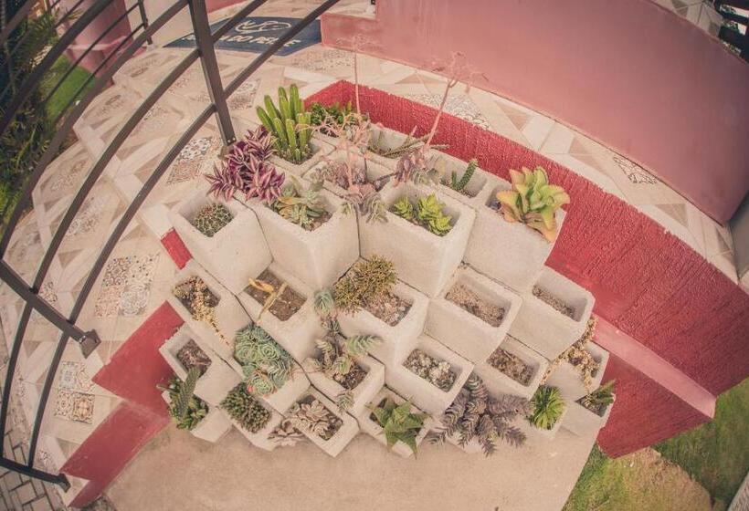 پانسیون Pousada Dormida Do Peixe