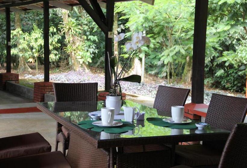 مبيت وإفطار Horquetas River Lodge