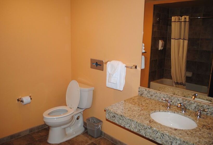 استراحتگاه Wisconsin Dells Area Condominiums