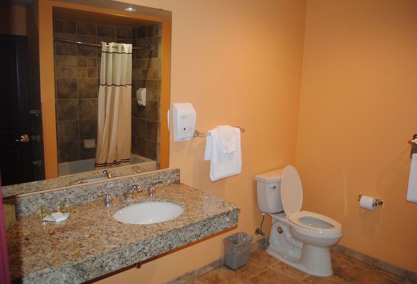 استراحتگاه Wisconsin Dells Area Condominiums