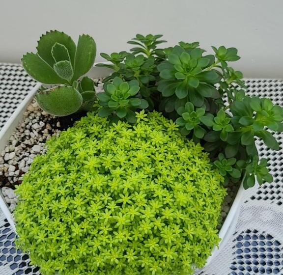 تختخواب و صبحانه Love Happiness Inn