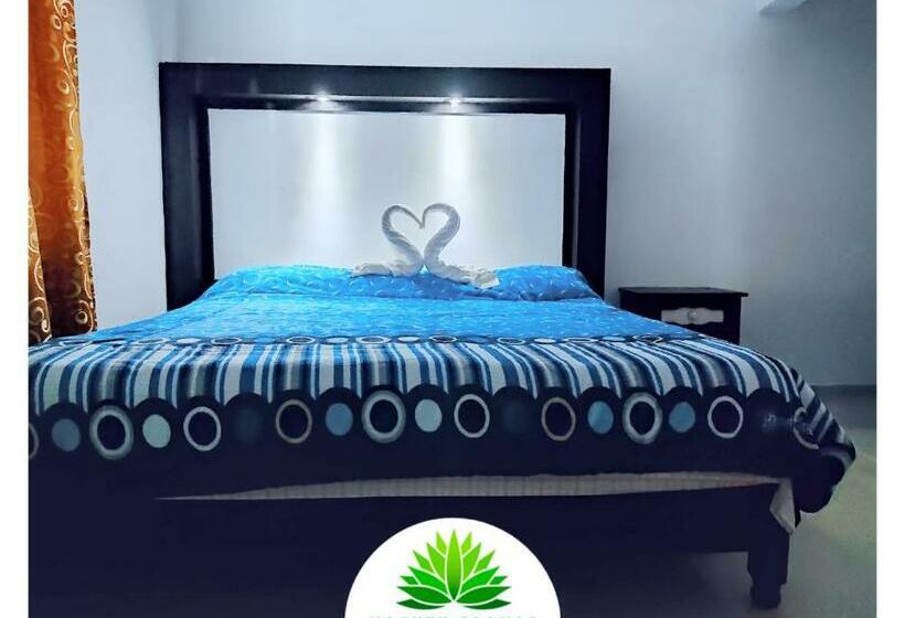 فندق Maguey Blanco