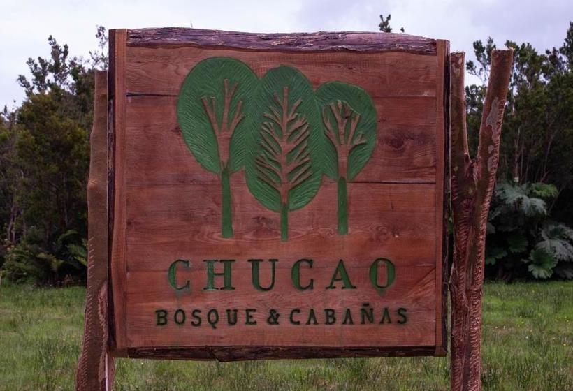 פנסיון Chucao Bosque Y Cabañas