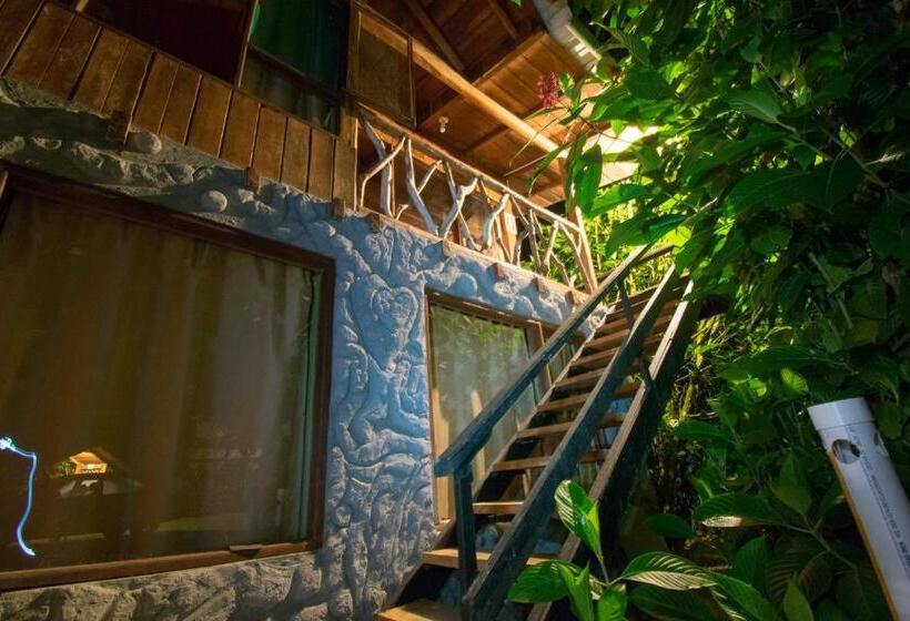 هتل Hostería Los Cedros De Mindo