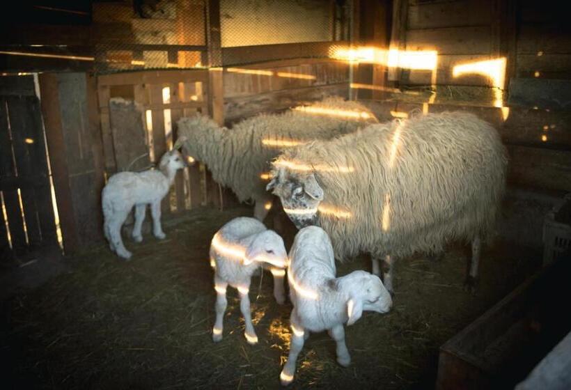 فندق Agriturismo Terra E Cielo