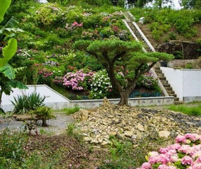 住宿加早餐  Chateau De Druon
