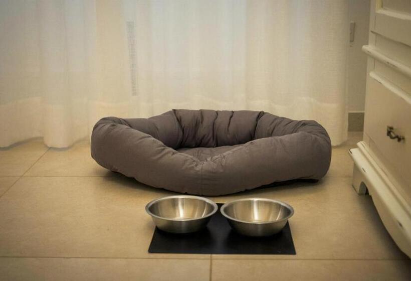 تختخواب و صبحانه Amatè Suite