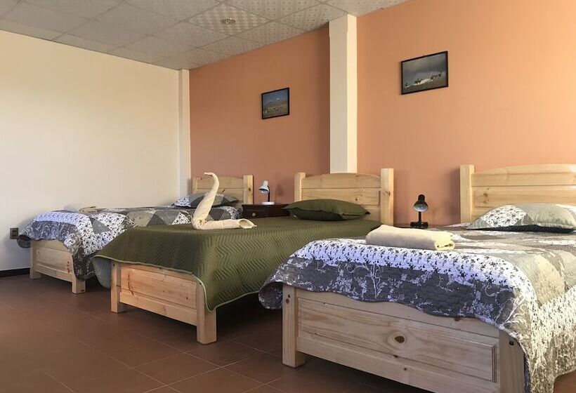 هاستل Cittadella Hostal