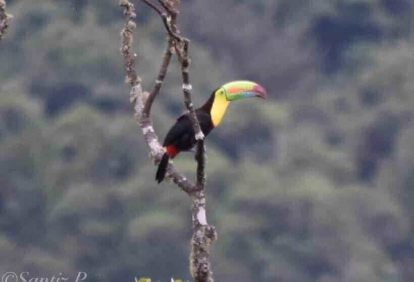 پانسیون Loma Nevada Minca