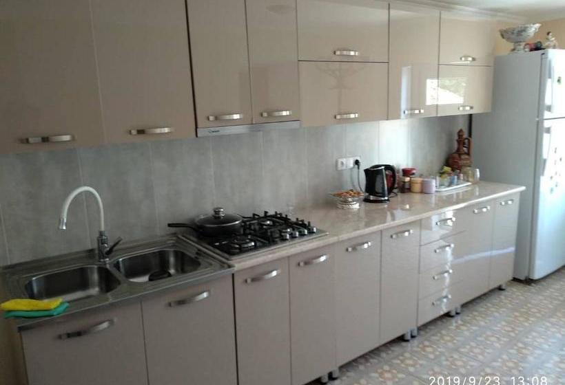 پانسیون Sabuka Qushashvili