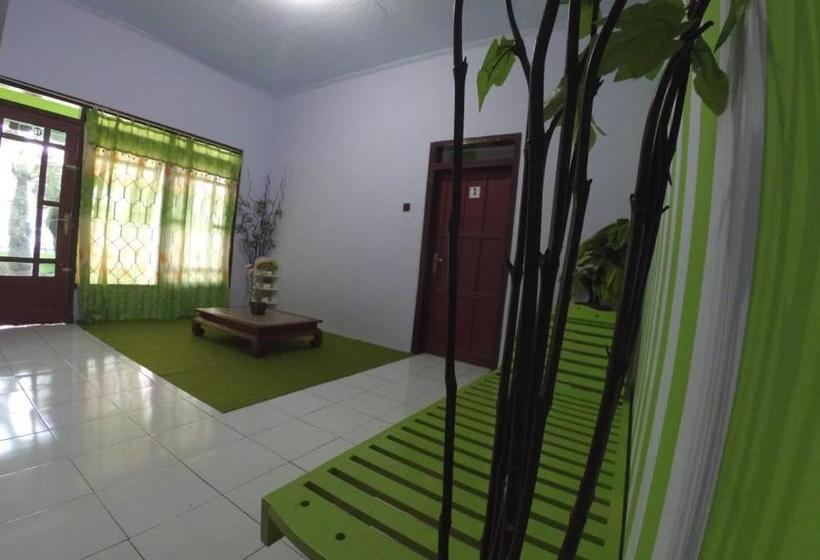تختخواب و صبحانه Quinn Homestay