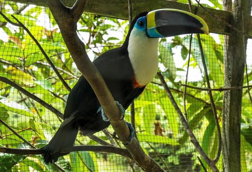 Hotel Amazon Oasis Floating Lodge