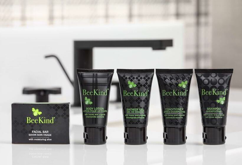 فندق Hyatt Centric Mountain View