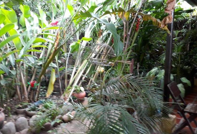 هاستل Hostal Villa Cecilia