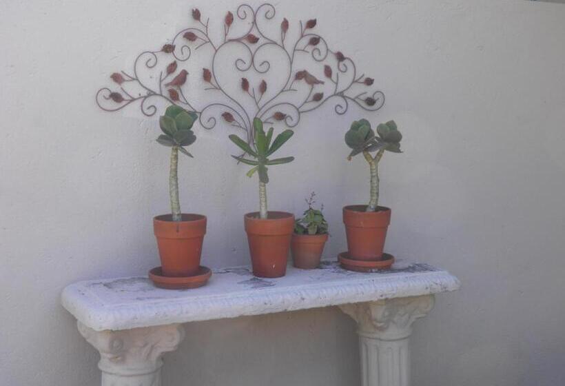 בית מלון כפרי Long Creek Lodge