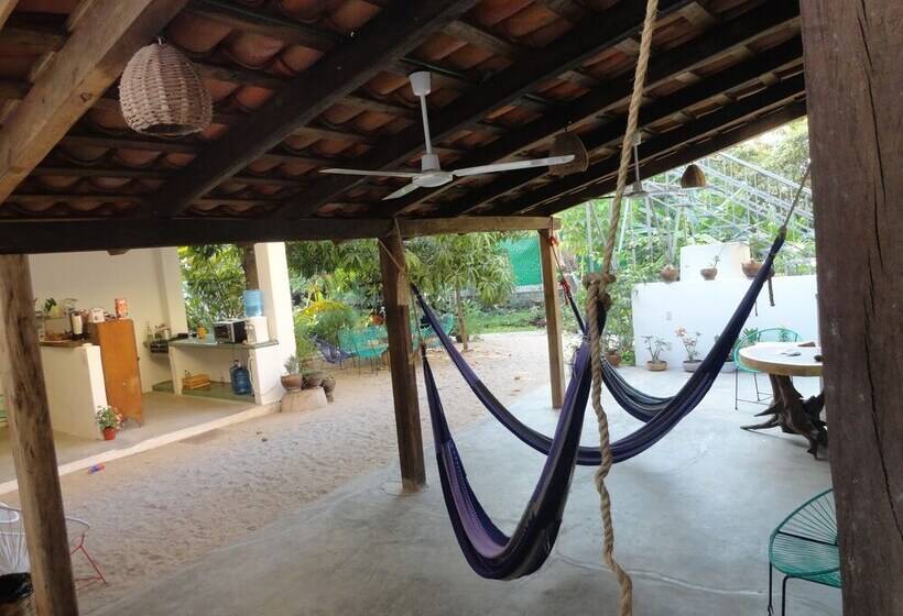 پانسیون Paziflora Hostel