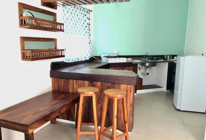پانسیون Paziflora Hostel