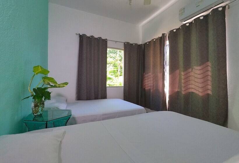 پانسیون Paziflora Hostel