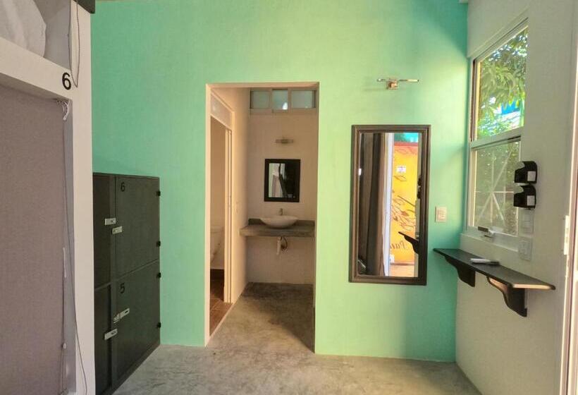 پانسیون Paziflora Hostel