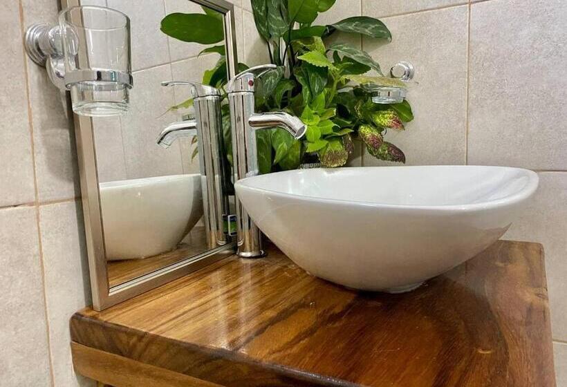 پانسیون Paziflora Hostel