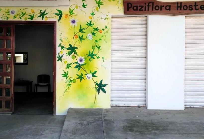 پانسیون Paziflora Hostel