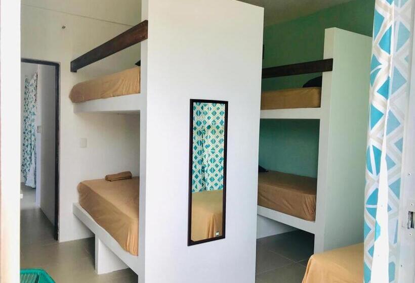 پانسیون Paziflora Hostel