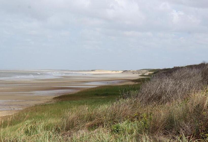 La Paloma Containers Suites