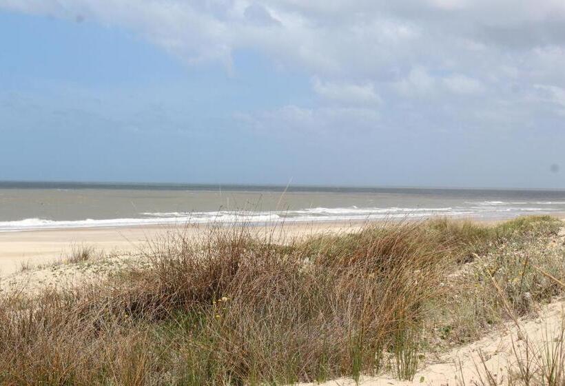 La Paloma Containers Suites