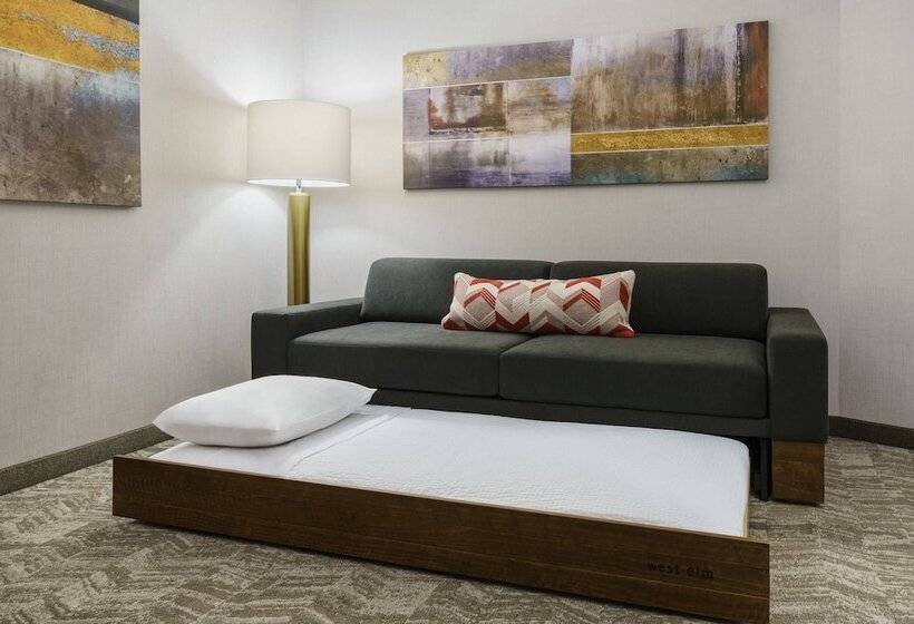 酒店 Springhill Suites By Marriott Philadelphia West Chester/exton