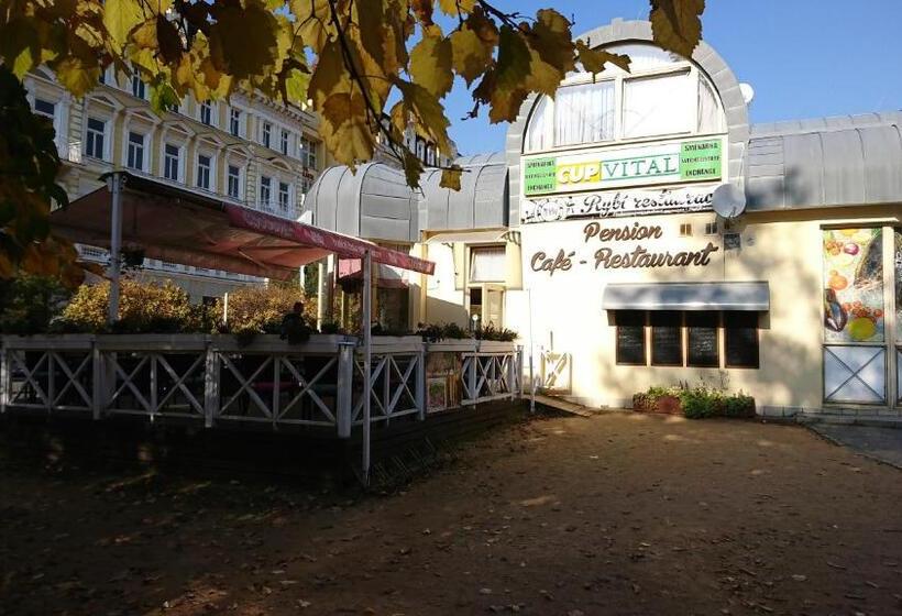 هاستل Penzion U Pidly