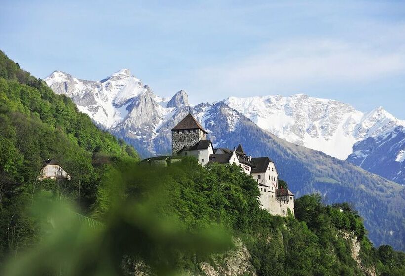 Отель Vaduzerhof By B Smart