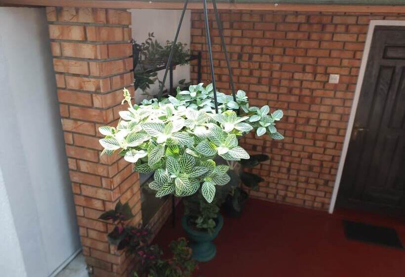 بنسيون Rest For Guests   Homestay