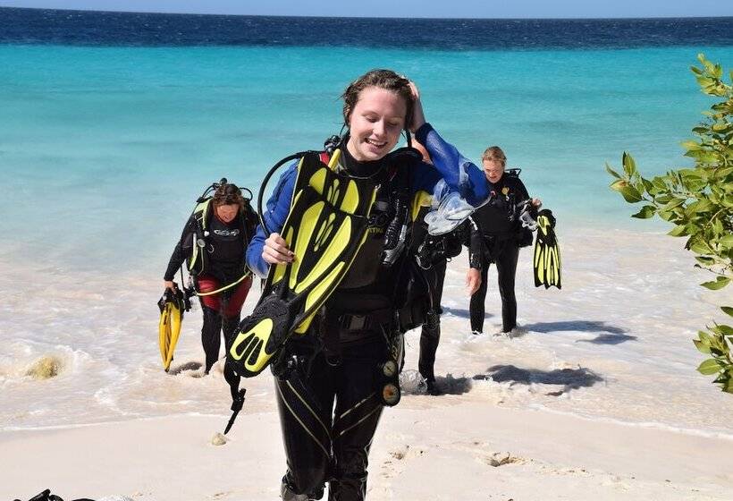 هاستل Hakuna Matata Bonaire   Beach & Diving