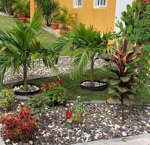 تختخواب و صبحانه Modrians