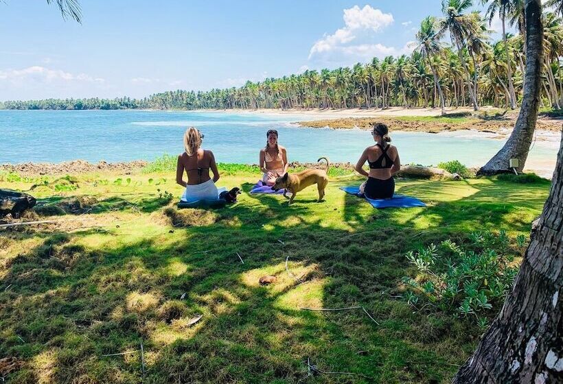 Baoba Breeze Bed & Breakfast  Beachfront Paradise