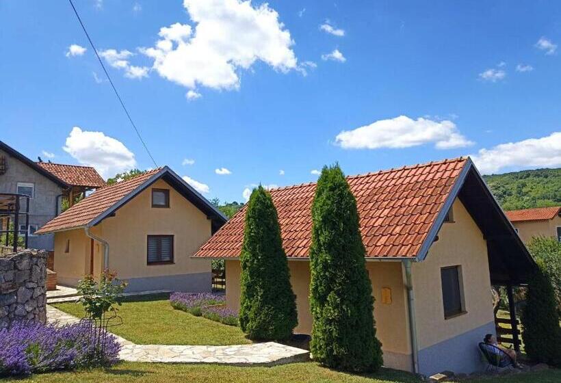 پانسیون Garden 022