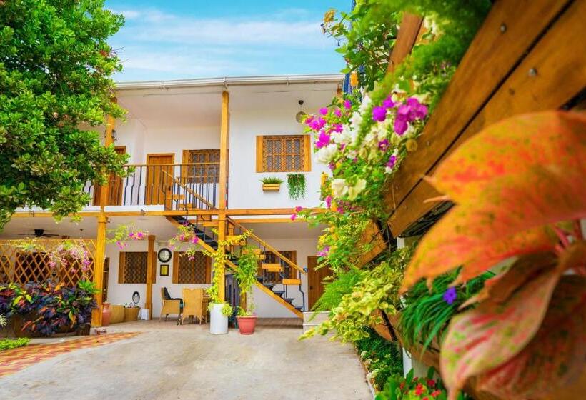 هاستل Boutique Platanal