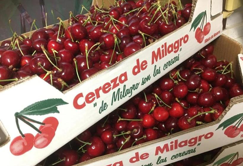 פנסיון La Casa Del Hilario