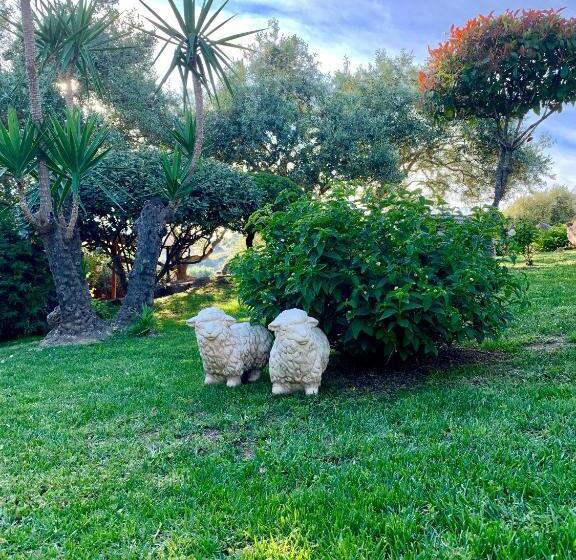 مبيت وإفطار Agriturismo Muru Idda