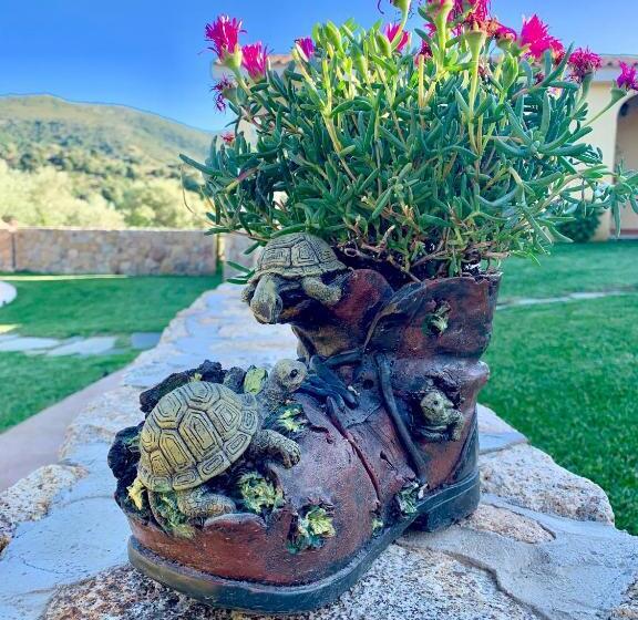 مبيت وإفطار Agriturismo Muru Idda