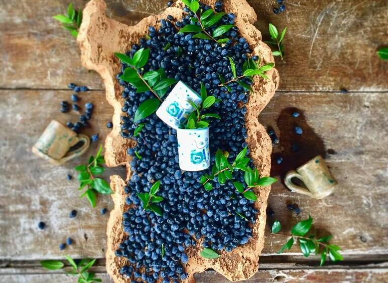 مبيت وإفطار Agriturismo Muru Idda