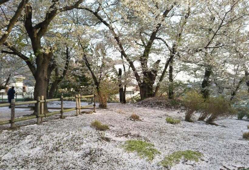 بنسيون Guest House Hostel Yukuru